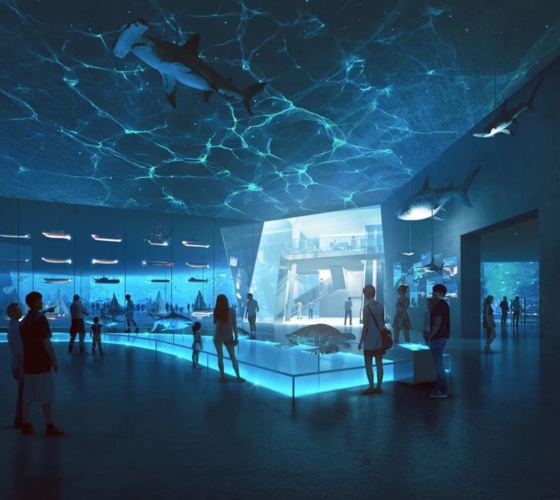 20055-Shenzhen Maritime Museum-open-4